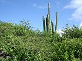 2010-11-24 16-04-05 Ludo